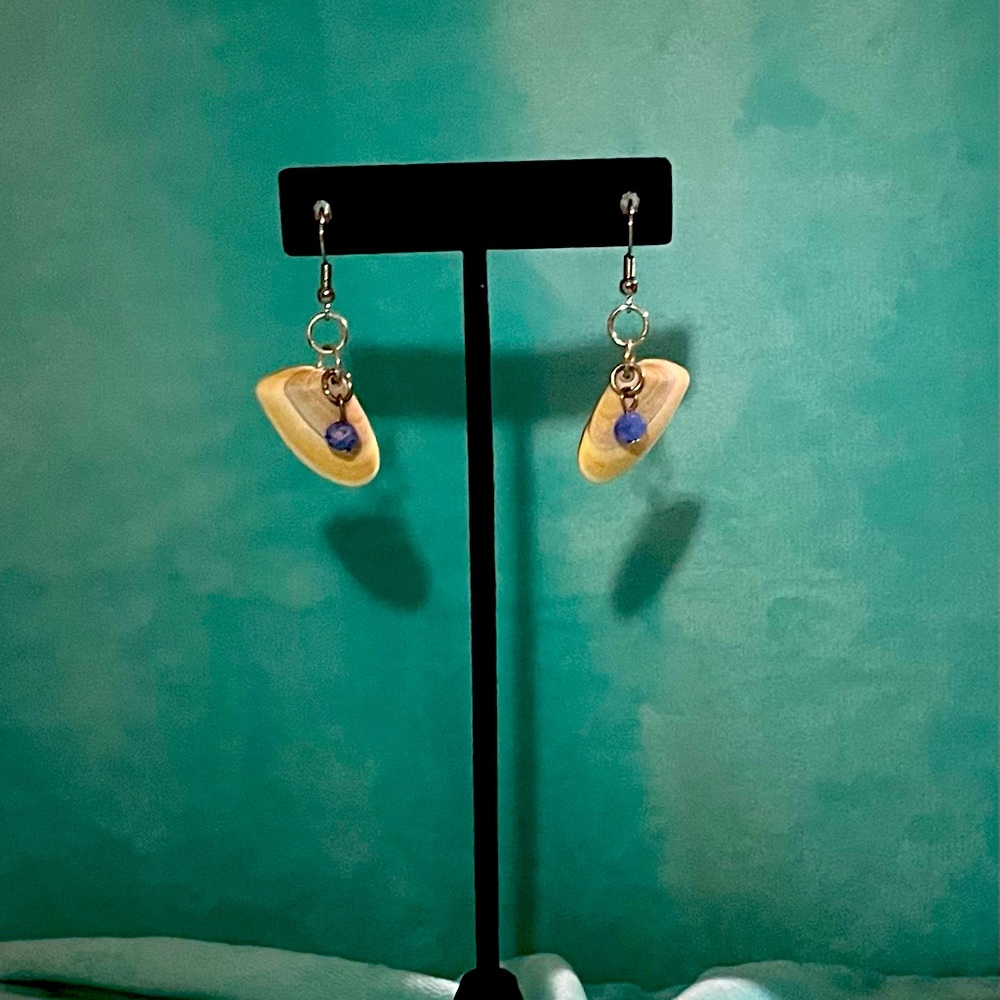Coquina Seashell Earrings